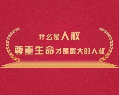 五彩鹦鹉救援