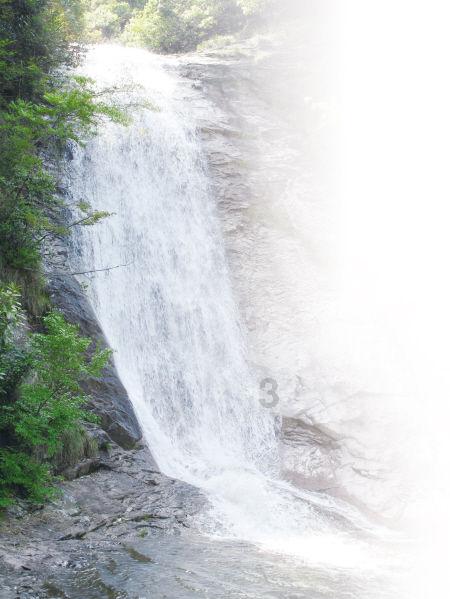 阴阳师